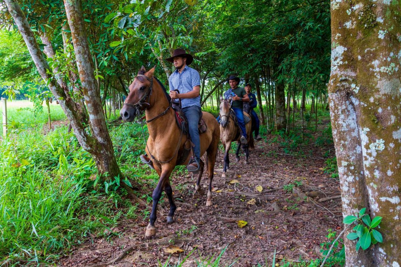 Hotel Campestre La Potra Apiay エクステリア 写真