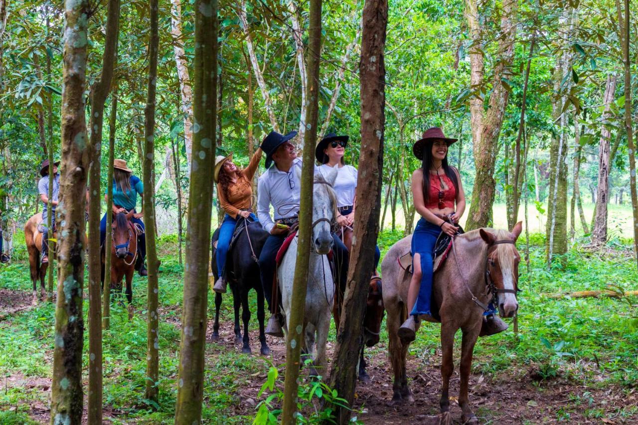 Hotel Campestre La Potra Apiay エクステリア 写真