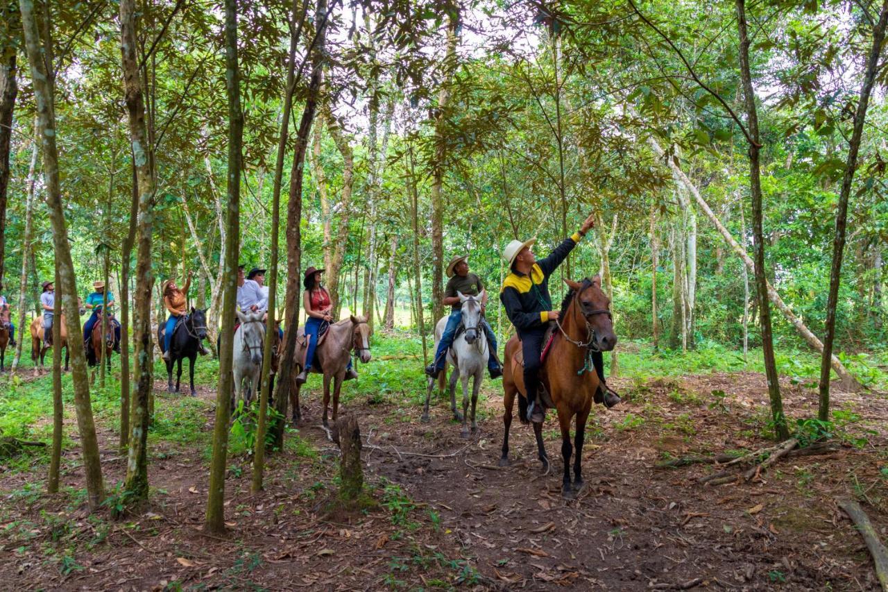 Hotel Campestre La Potra Apiay エクステリア 写真
